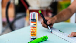 Pica BIG Dry 12 x Ersatzminen Sommer Set je 4 x Graphit Rot Gelb