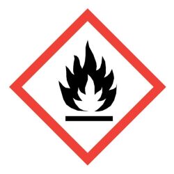 Scheibenenteiser 500 ml in Sprühflasche + Gratis Thermometer