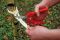 BESSEY Combischere gerade D47 140 mm