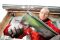 BESSEY Idealscheren-Set in Rolltasche DSET29-15