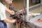 BESSEY DuoKlamp DUO16-8 160 x 85 mm