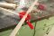 BESSEY Winkelspanner WS3 Spannweite 2x55 mm